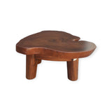 Acacia Wood Coffee Table: Rustic Elegance.