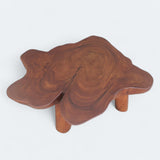 Acacia Wood Coffee Table: Rustic Elegance.
