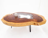 RTG006- Insert Glass Panel Round Edge Coffee Table.