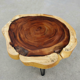 COF056- Distinctive Live Edge Coffee Table.